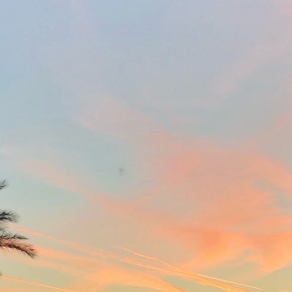 Meet your Posher, Gabi - Picture 1 of 1